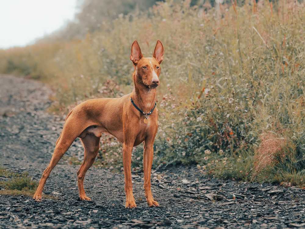 Photograph by Ольга