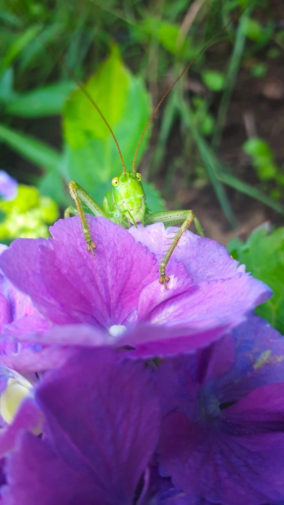 Photograph by Tatiana Kirillova