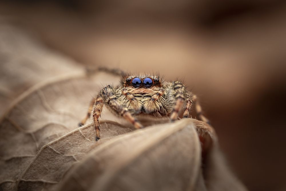 Фотография автора Krisztina Mácsai