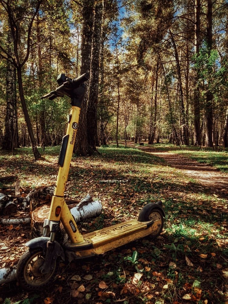 Фотография автора Демьян Стрельцов