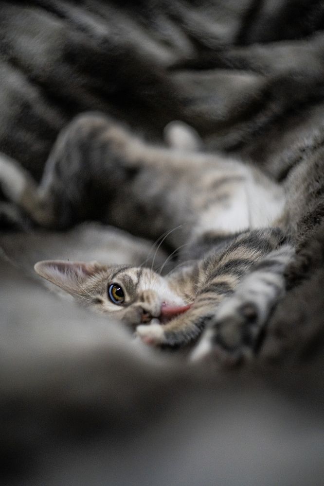 Фотография автора Viktória Bertha