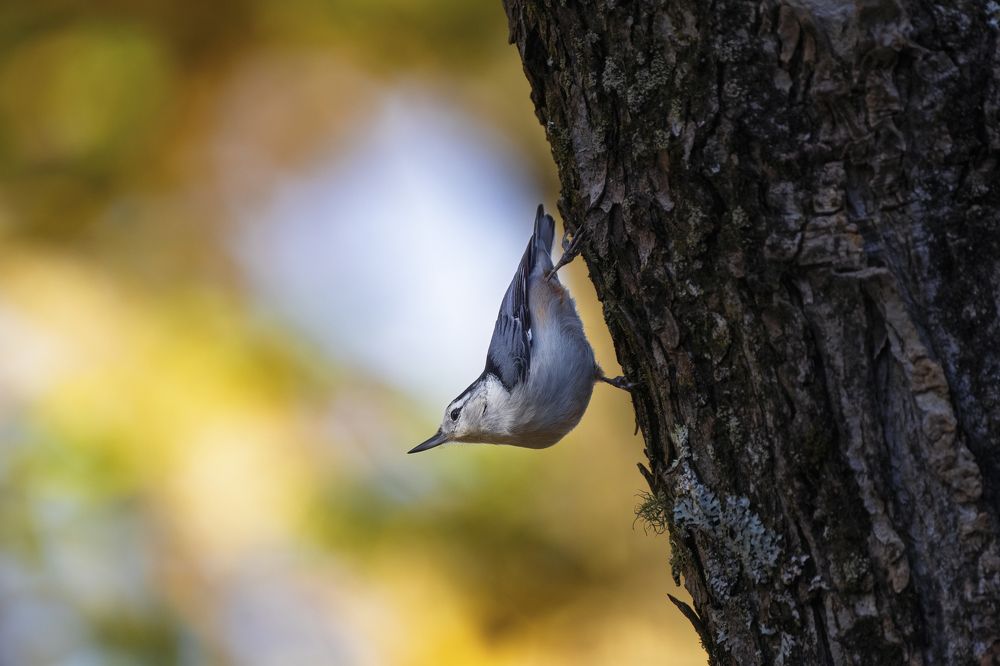 Photograph by Miller Dave