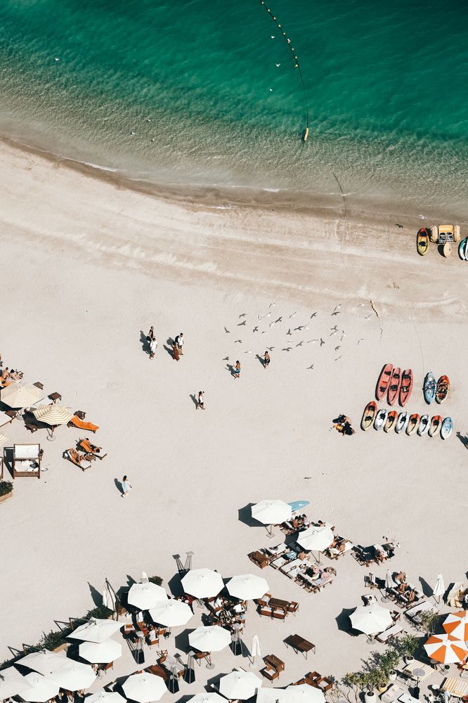 Фотография автора Brandon Pinto