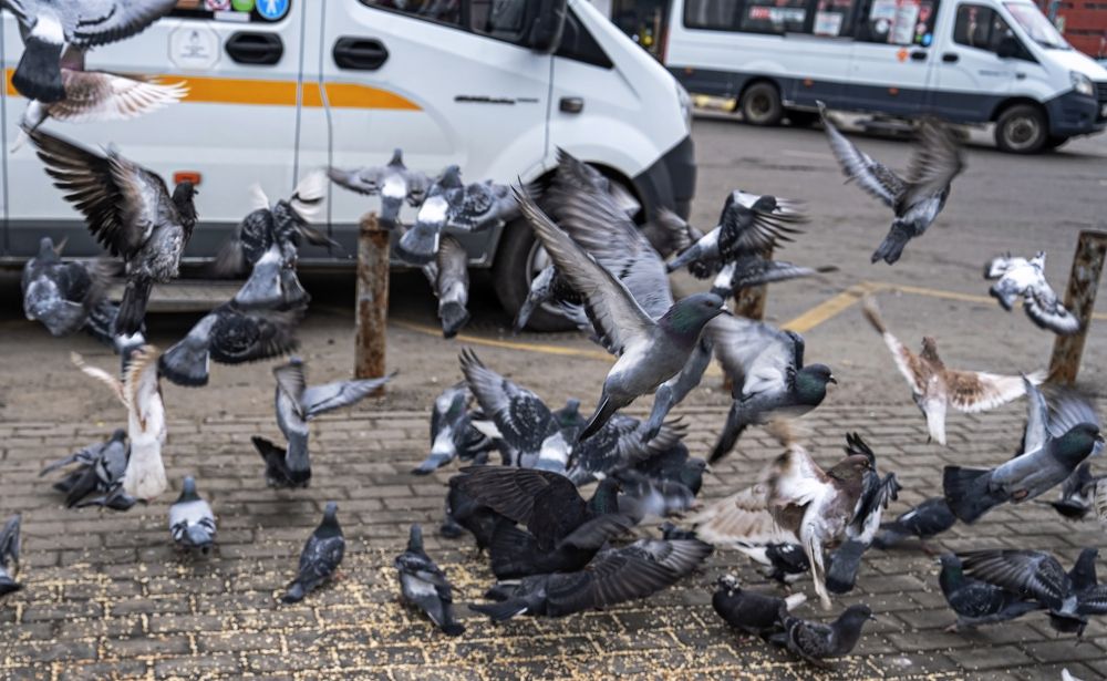 Photograph by Андрей Пучков