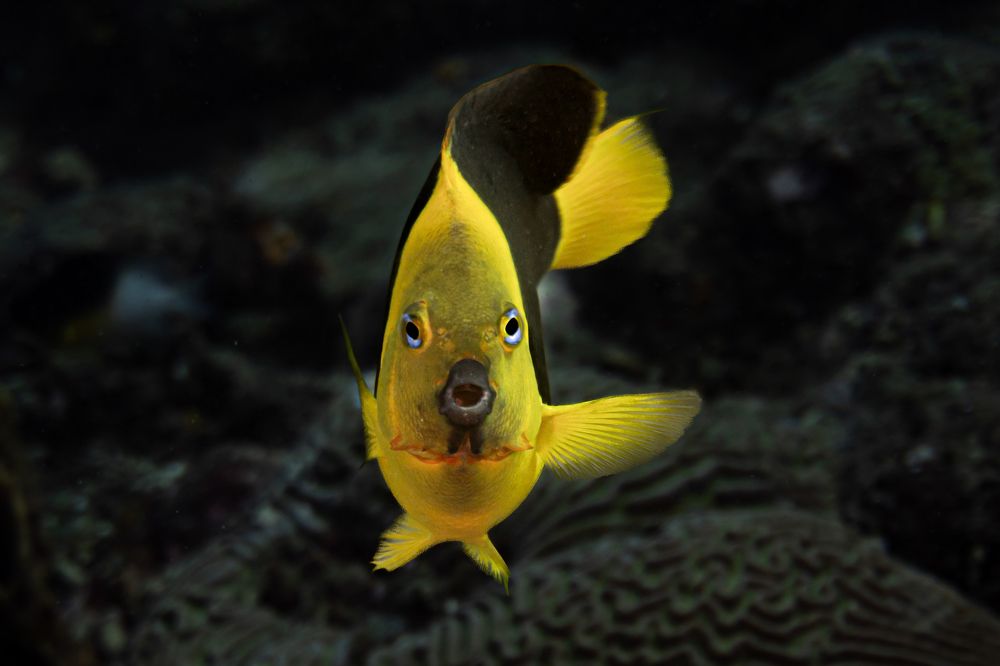 Photograph by JUAN M GUZMÁN