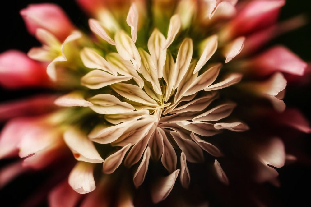 Photograph by Сергей Назаредский