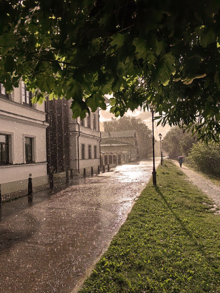 Летний дождь