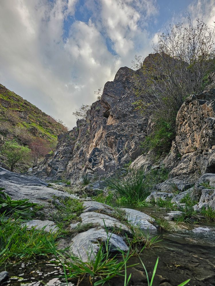 Фотография автора Nima Nezafat Yazdi