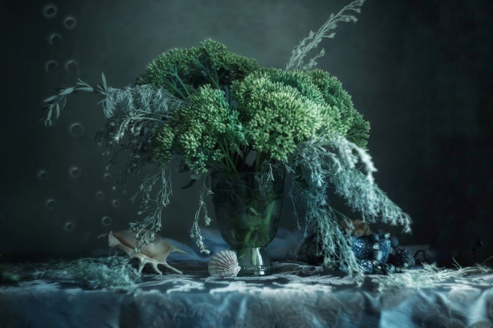 Photograph by Екатерина Панфилова