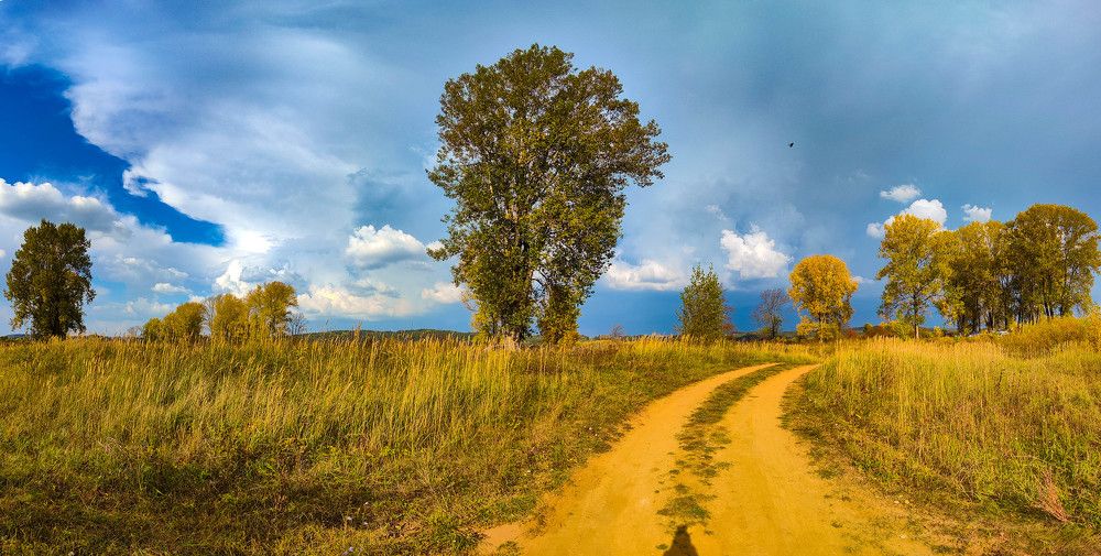 Photograph by Наталия