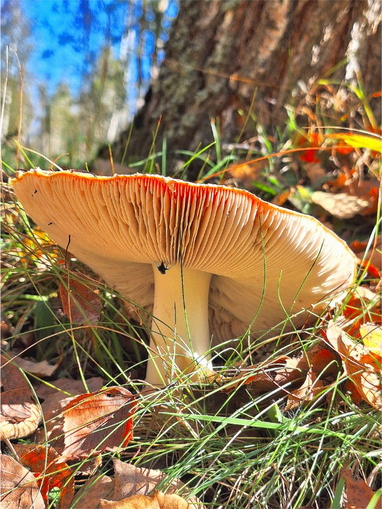 Photograph by Татьяна Слесарева