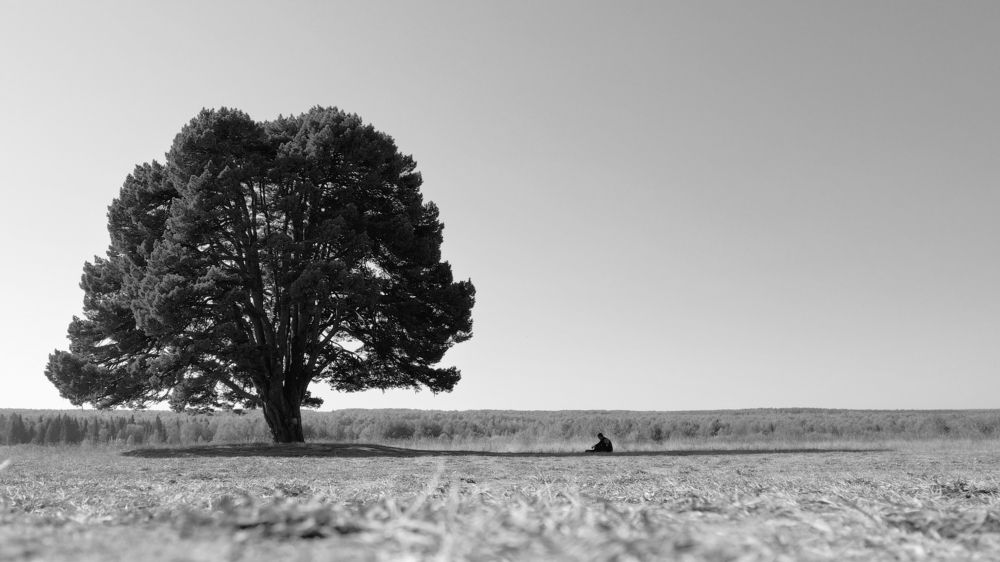 Photograph by Геннадий Глухов