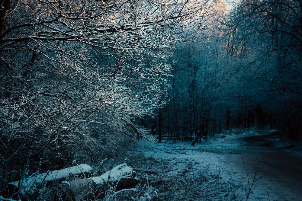 Photograph by Луна Сол