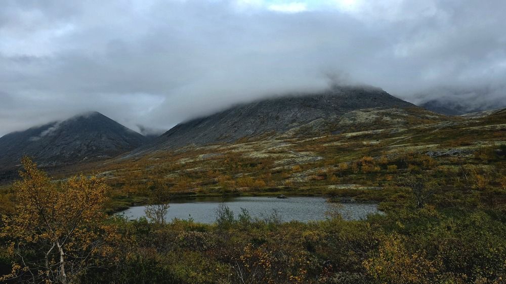 Photograph by Анна Семенова