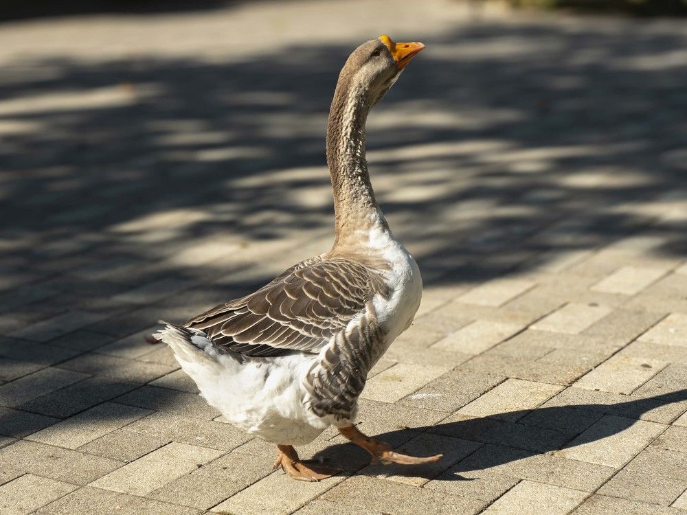 Photograph by Борис Полтавец