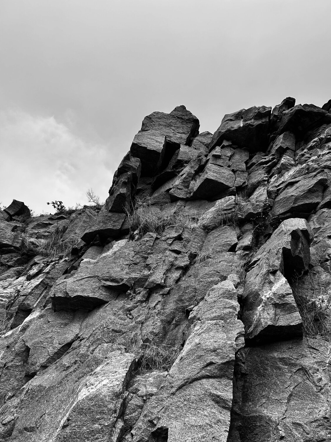 Photo #11054660