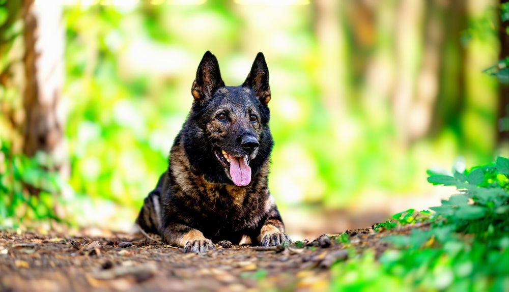 Photograph by Дарья