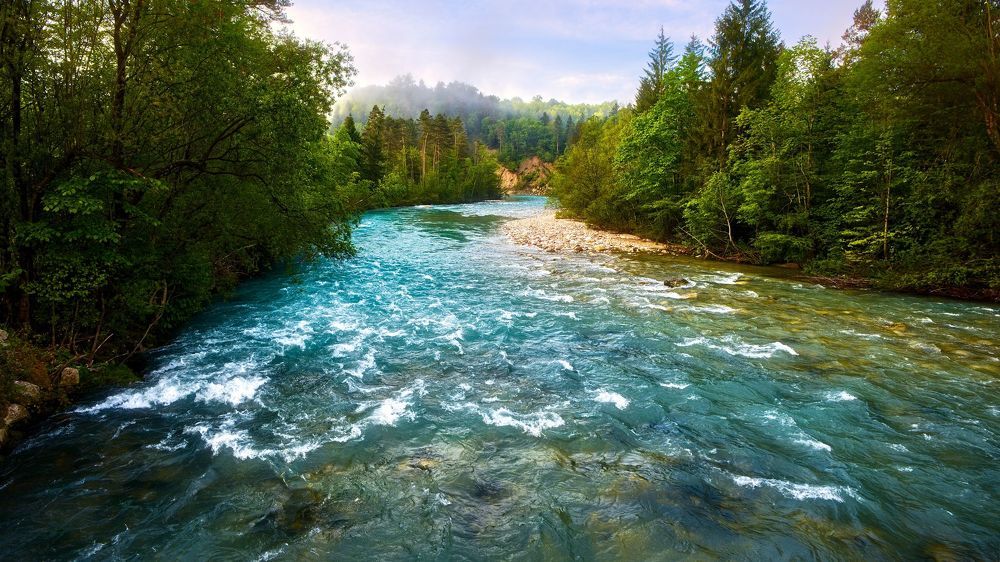 Photograph by Jan Musil