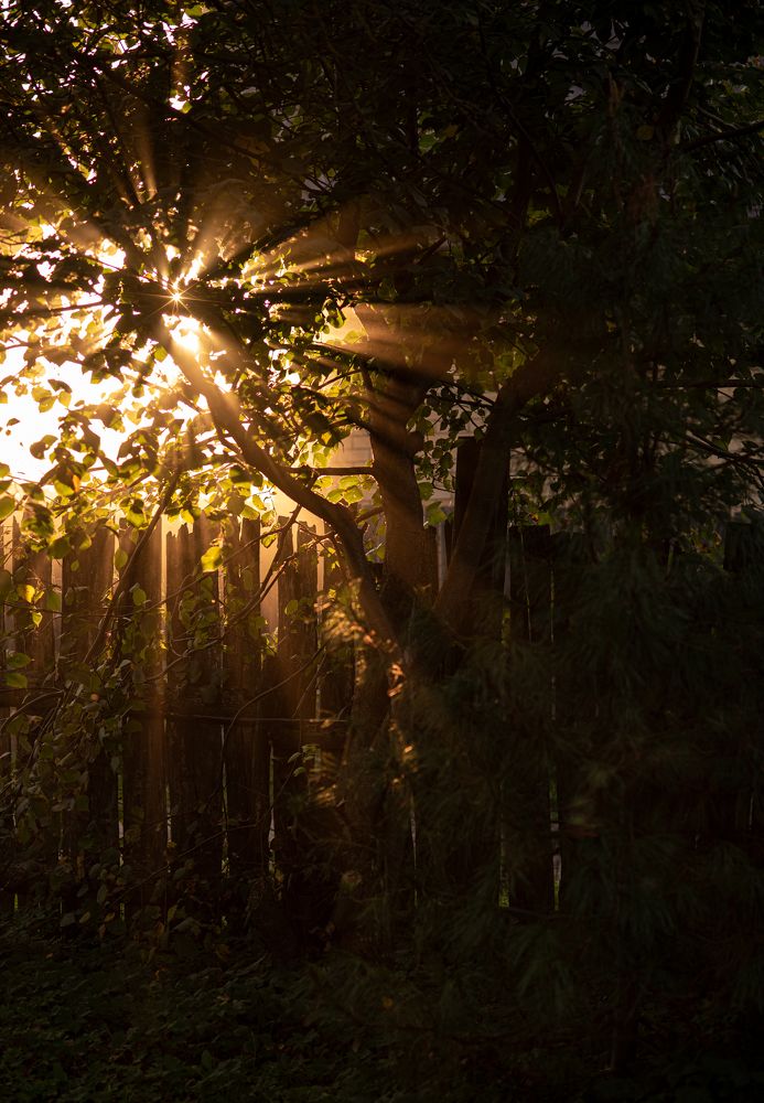 Photograph by Лариса Абрамова