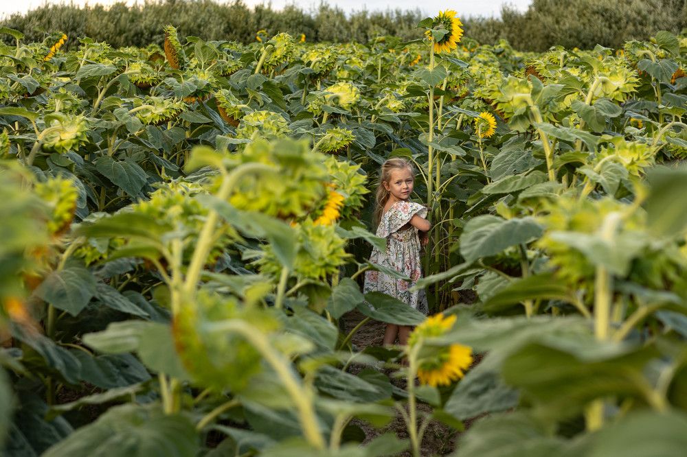 Photograph by Ольга Славинская