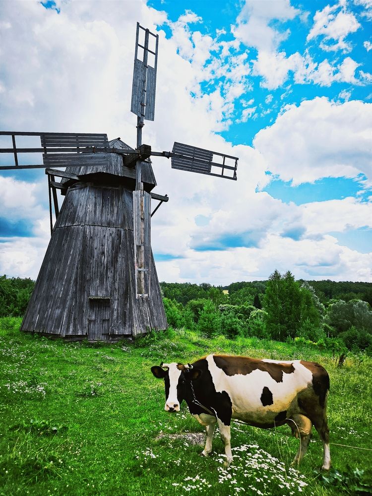 Photograph by Елена Симонова