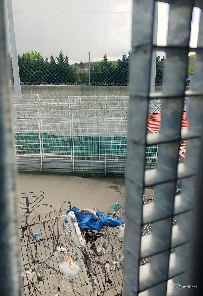 Фотография автора Ala Shalukhanskaya