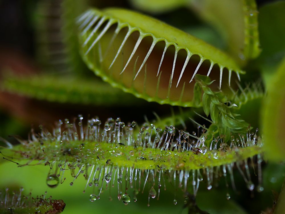 Photograph by Гагик Саркисян