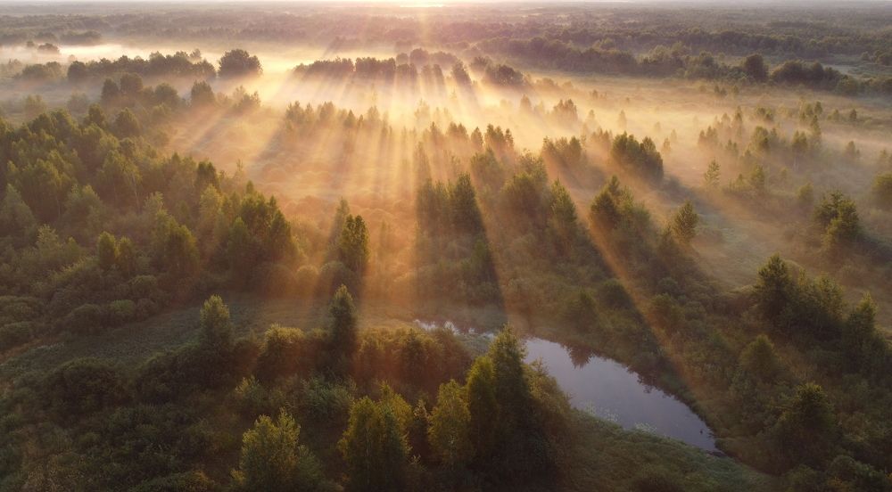 Photograph by Шляга Сергей