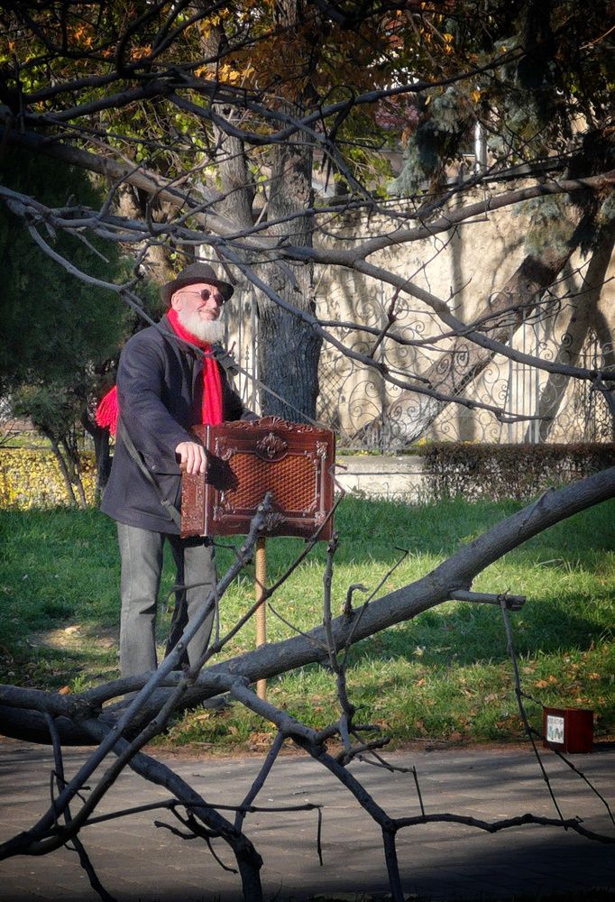 Photograph by Кривенко Владимир