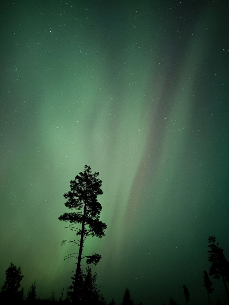 Photograph by Карина Заводчикова