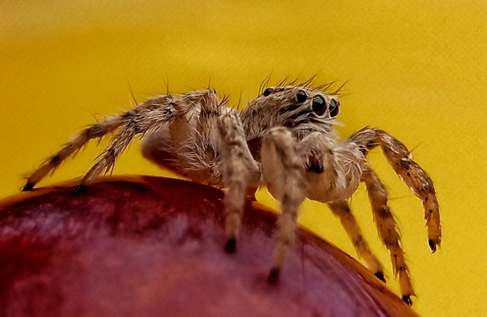 Фотография автора Mahdi Mohammadi