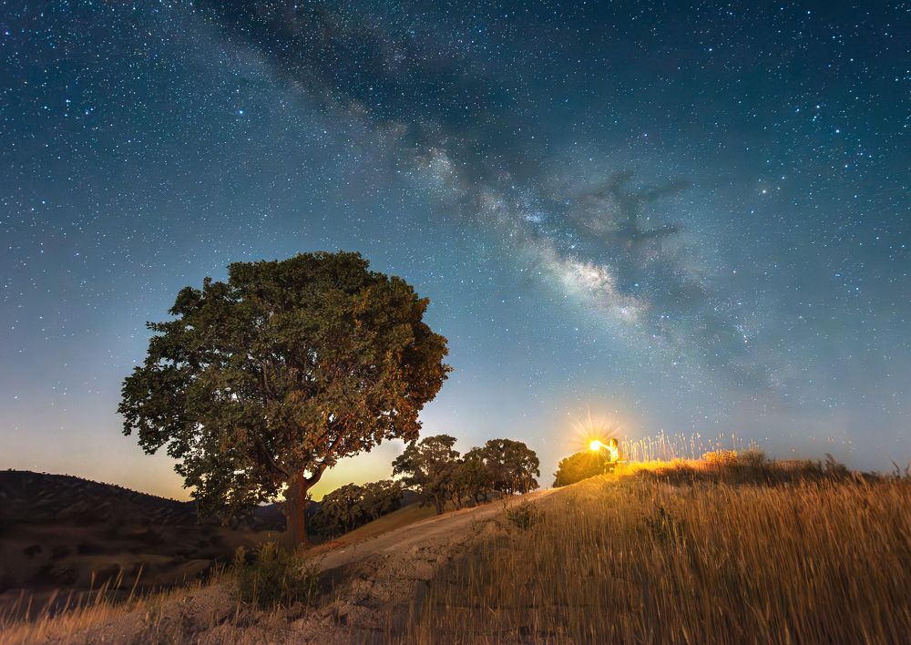 Photograph by Mojtaba Zeydabadi