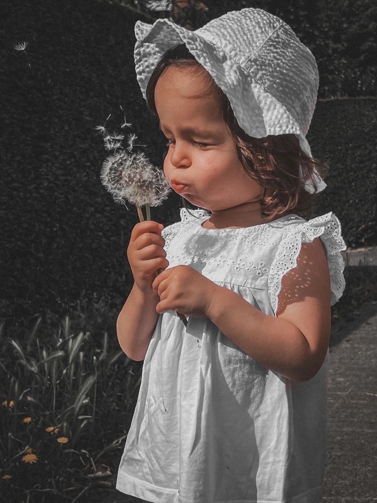 Photograph by Anya Lo