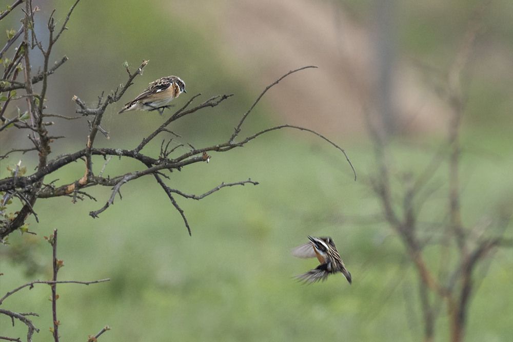 Photograph by Ignatov Yury