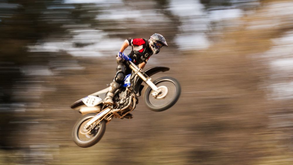 Фотография автора Carlos Gianoli