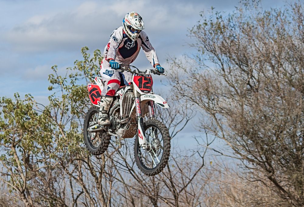 Фотография автора Carlos Gianoli