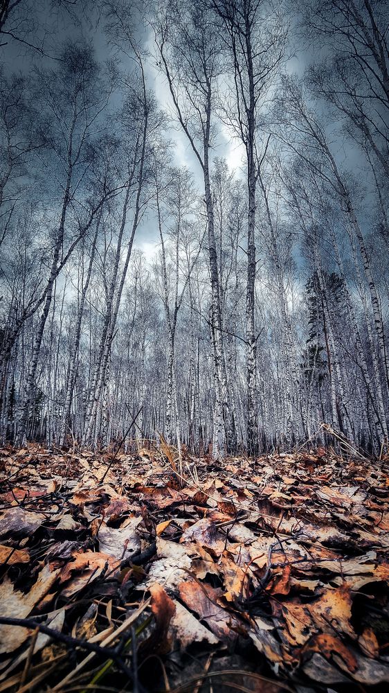 Photograph by Анна Панова