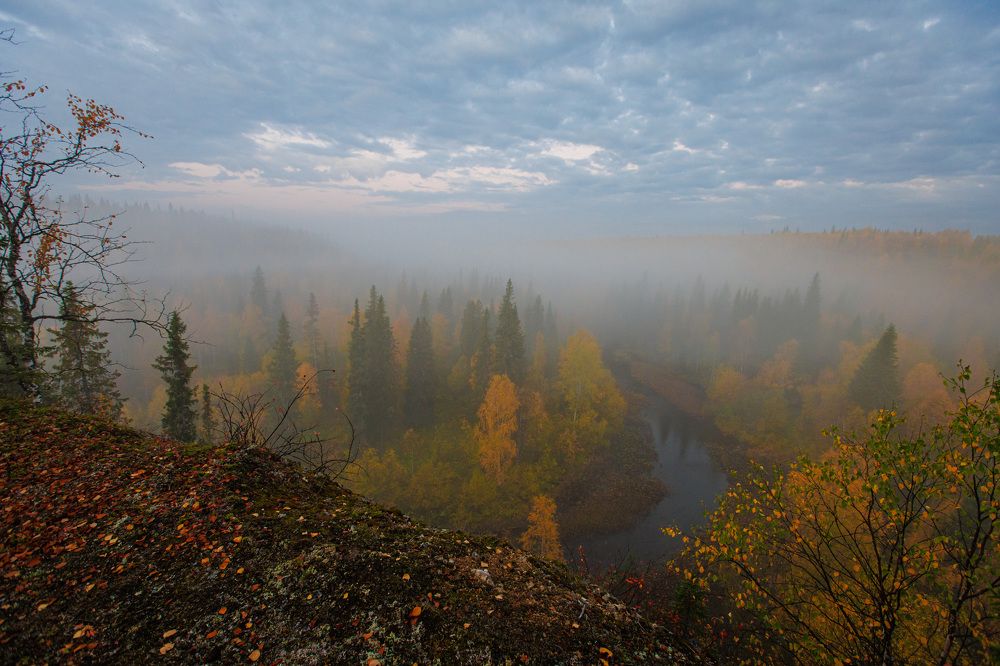 Photograph by Толяныч