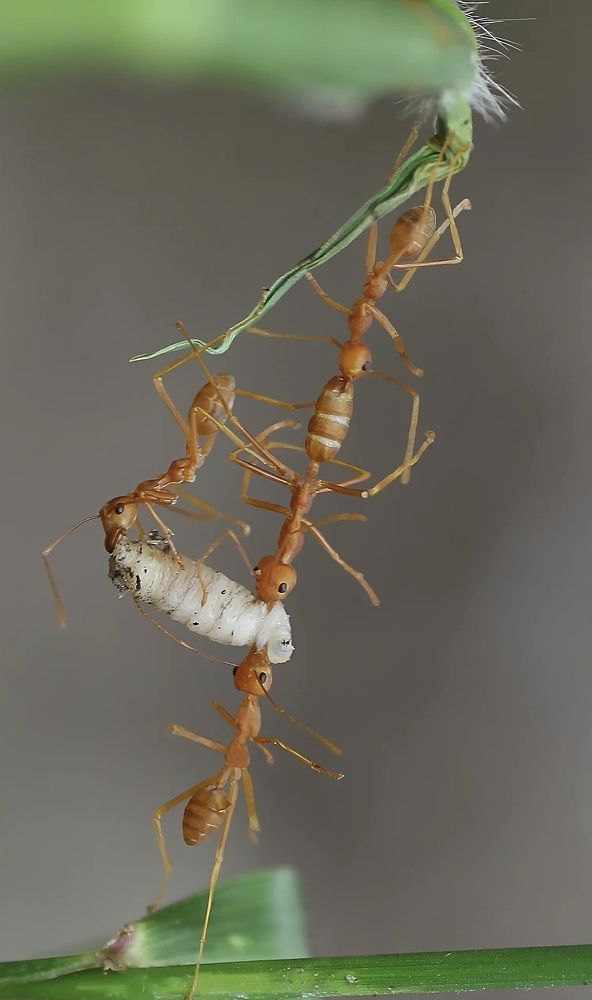 Photograph by nguyên trương