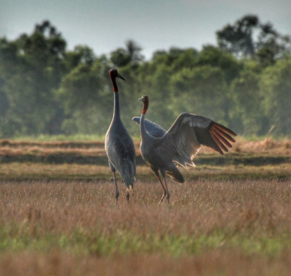Photograph by nguyên trương