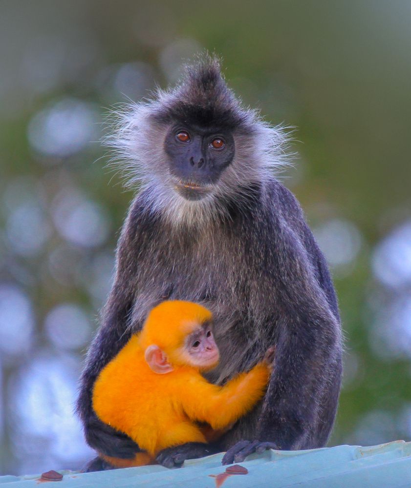Photograph by nguyên trương