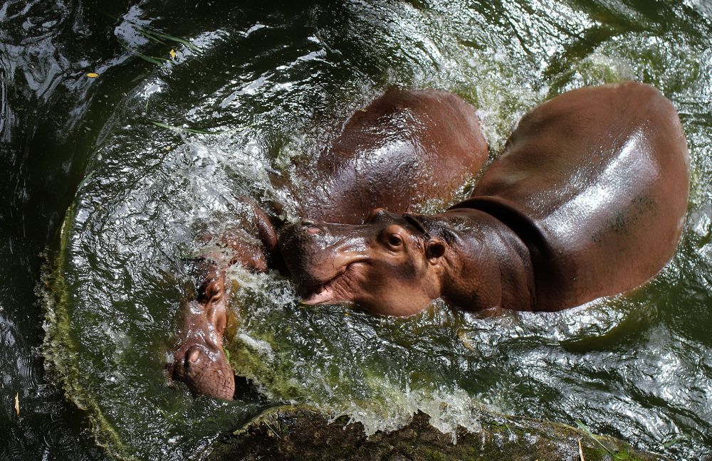 Photograph by Albert Yarullin