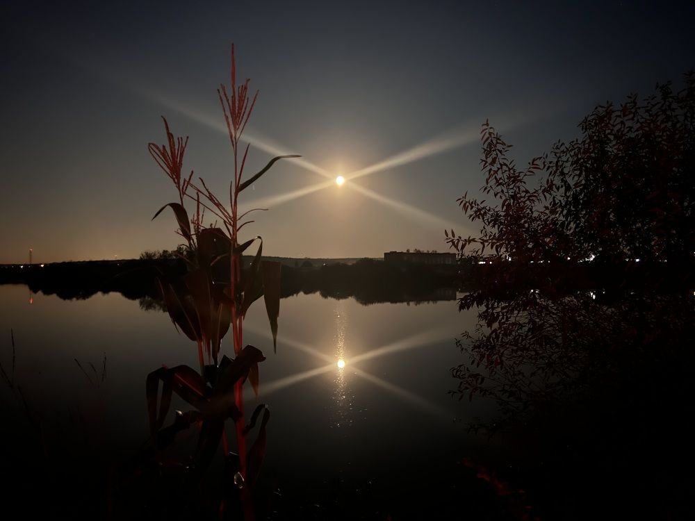 Photograph by Kira Ko