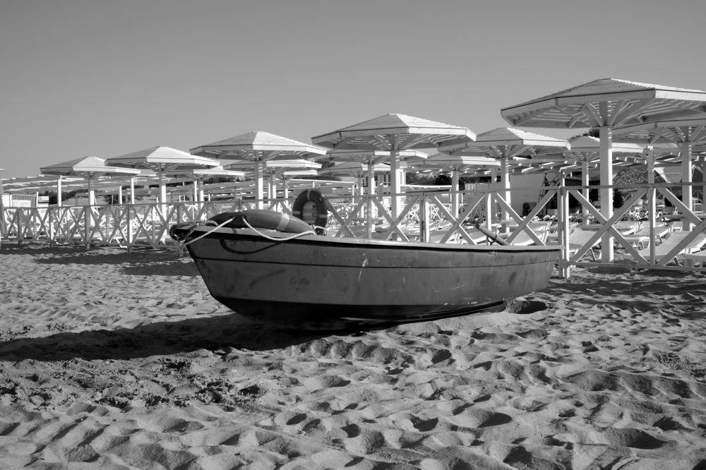 Photograph by Alexandr