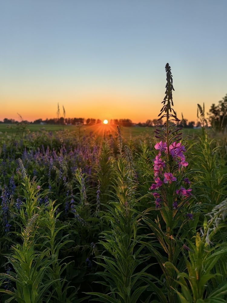 Фотография автора Самохин Андрей
