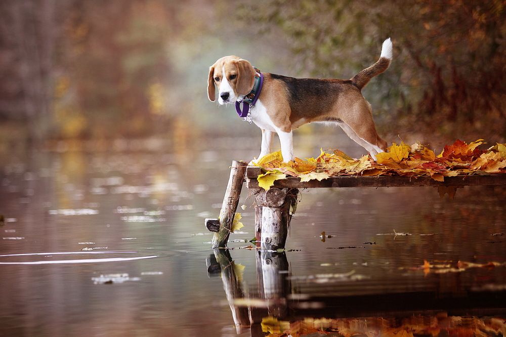 Photograph by Сергей