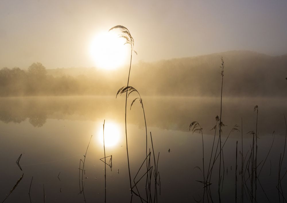Photograph by Sergey Tsubanov