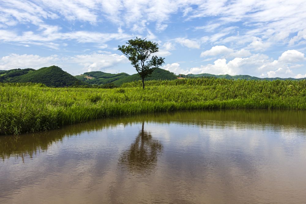 Photograph by Sergey Tsubanov
