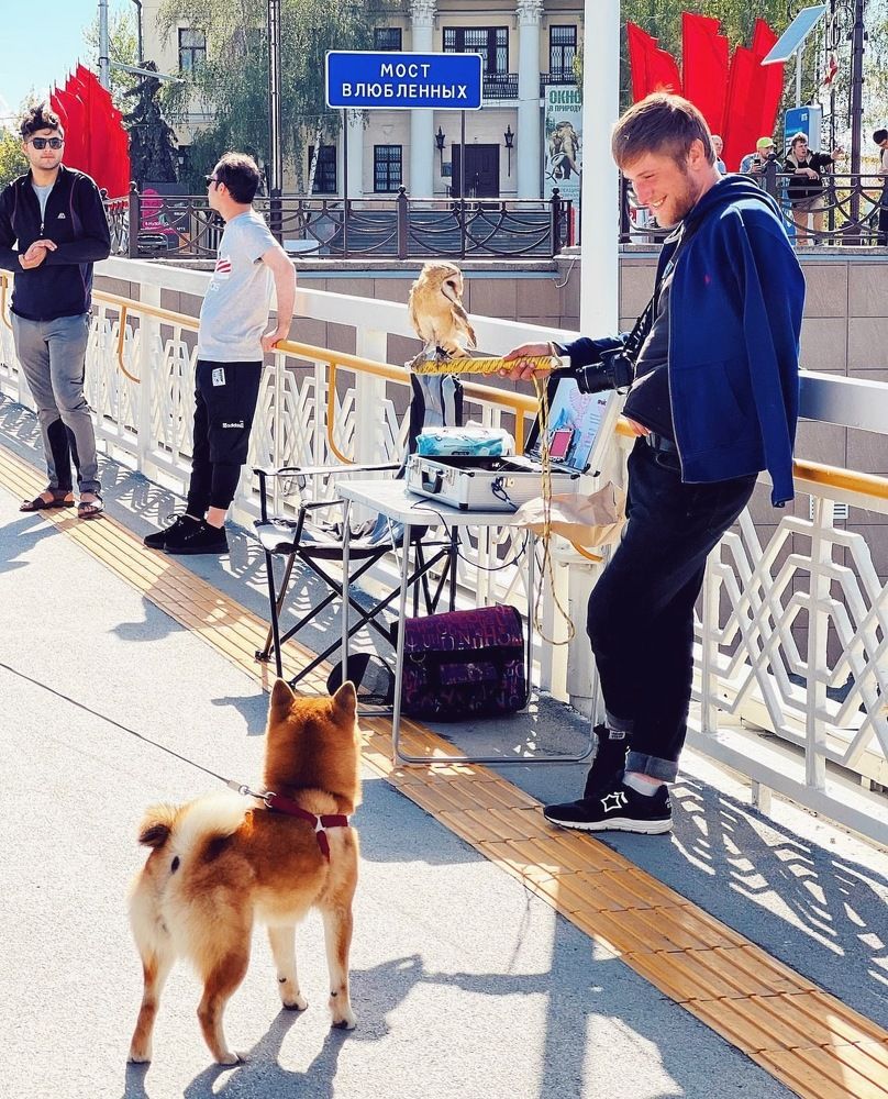 Photograph by Татьяна Волохова