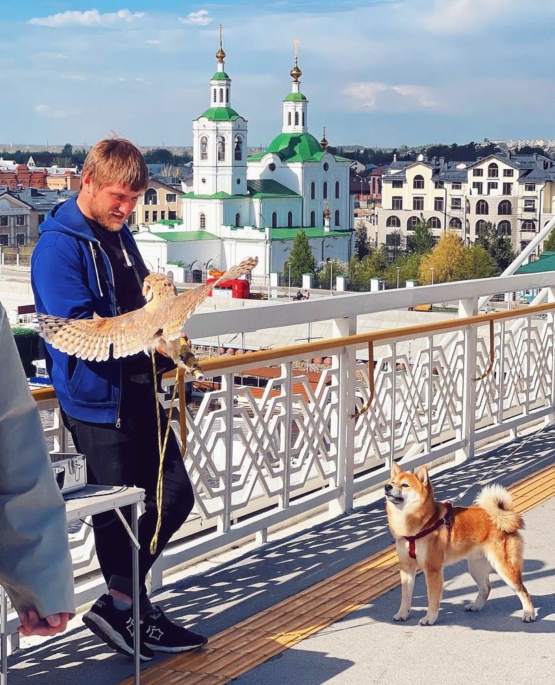 Photograph by Татьяна Волохова